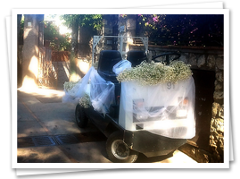 Carrello elettronico per matrimonio a Capri